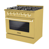 Hallman BOLD GOLD 36 5.2 Cu. Ft. 6 Burner Freestanding Dual Fuel Range and Electric Oven - HBRDF36GD