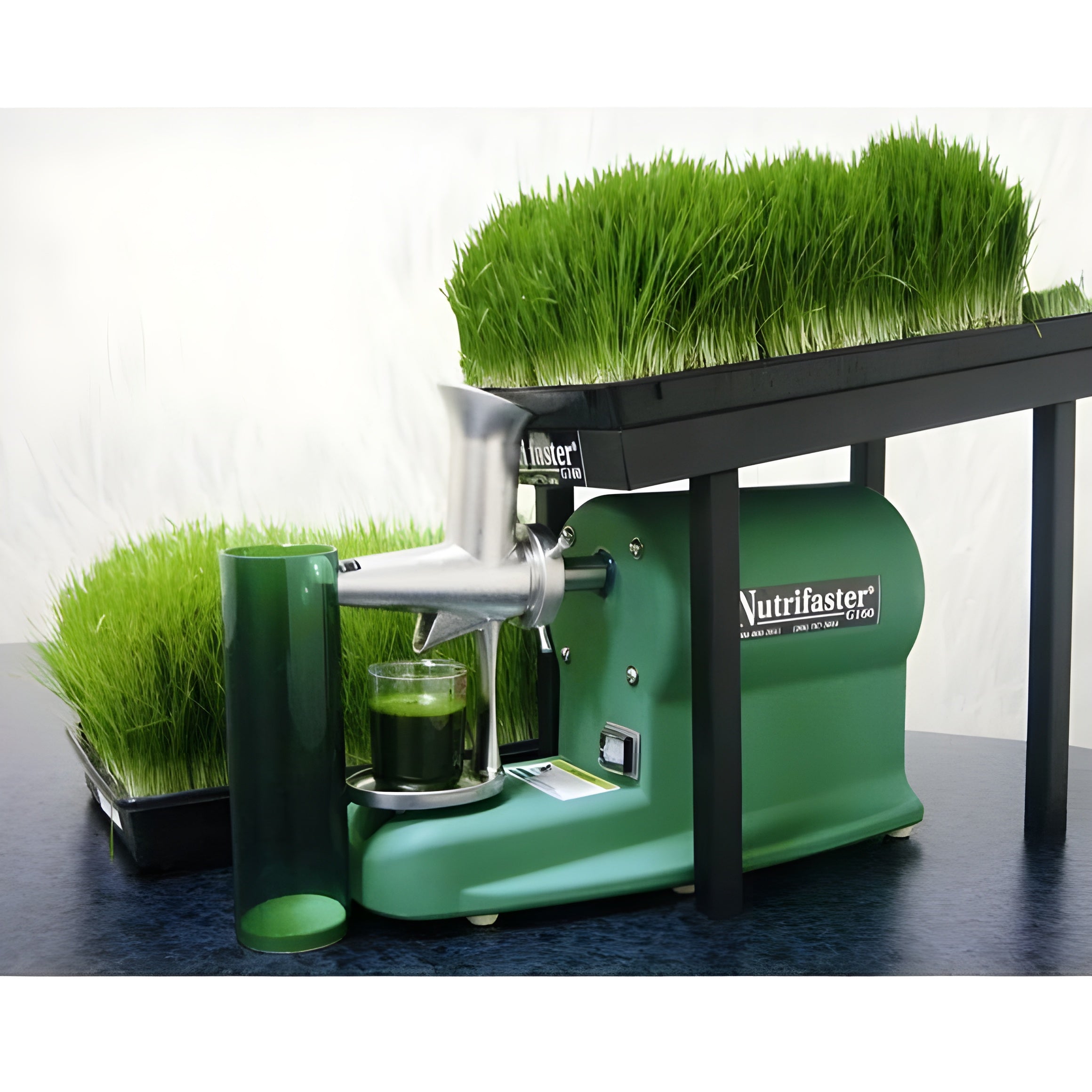 Nutrifaster Wheatgrass Juicer - G160